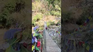 TREK TO GOSAIKUNDA #gosaikunda #trekking #green #nature #friends #nepal #hiking #travel #coldplay