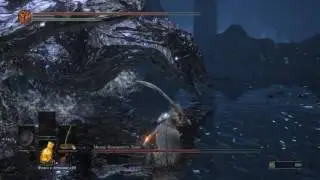 Мидир Пожиратель Тьмы / Darkeater Midir Casual Run