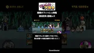 【にゃんこ大戦争】極悪のフィッシュ降臨 漂流恐失 超極ムズ #shorts #にゃんこ大戦争 #極悪のフィッシュ