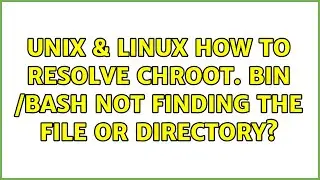 Unix & Linux: How to resolve chroot. Bin /bash not finding the file or directory?