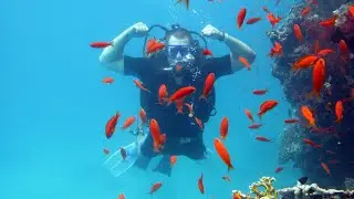 #EgyptTrips 🇪🇬 #Diving 🤿 #RedSea 🌊 #Loluna 🛥