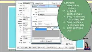 Online DEMO - Focus ERP Import module