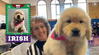 The 2025 4 Paws for Ability Service Dog Scrimmage