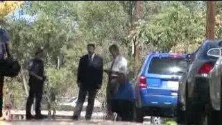 Homeowner duels with hit and run driver
