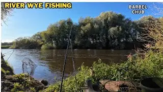 RIVER WYE FISHING BARBEL & CHUB  DAY 3