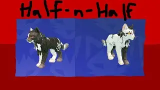 How to make a half n half cat morph with game passes. (Use subtitles)
