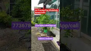 7736780815  WhatsApp/Call.#AirPot NEW QUALITY.#Air pot. #Air prooning pot, #air pruning, #trending