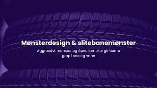 Vinterdekk (piggfrie) kj&oslash;psguide: Dette b&oslash;r du sjekke