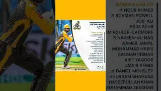 Peshawar Zalmi Squad 2024 | Peshawar Zalmi PSL 9 Squad