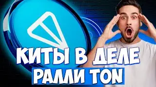 КИТЫ СКУПАЮТ TON COIN - TON НА НОВЫЙ ATH 10$ | TON ПРОГНОЩ | NOT НОВОСТИ