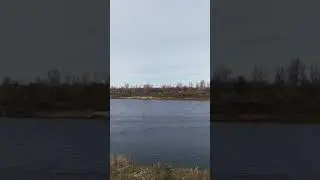 Ветлуга