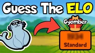 The Ultimate Guide to Turtle Pack Versus in Super Auto Pets ft. Gyomber!