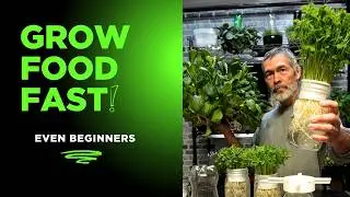 You Can Grow Food Fast and Easy