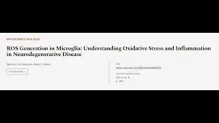 ROS Generation in Microglia: Understanding Oxidative Stress and Inflammation in Neuro... | RTCL.TV