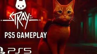 Stray PS5 Gameplay | 4K Ultra Graphics | Cyber City Adventure as a Cat