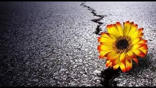 Reviving Hope: The Emergence of the Mahdi | Part 1 | Sheikh Azhar Nasser