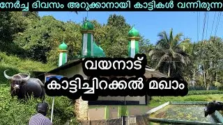 നേർച്ച ദിവസം അറുക്കാനായി കാട്ടികൾ സ്വയം വന്നിരുന്ന വയനാട്ടിലെ കാട്ടിച്ചിറക്കൽ മഖാം