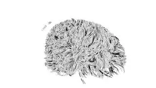Exploration of the Brain's White Matter Structure through Multi-Scale Local Contraction