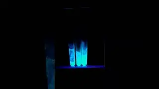 Fluoreszenz vs. Phosphoreszenz (bei verschiedenen Temperaturen)