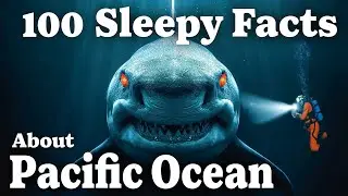 The Most Mind-Blogging Facts About Pacific Ocean Mysteries to Fall Asleep To | Sleepy Science