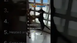 Top 7 Hilarious Dog Fight Moments!🤣