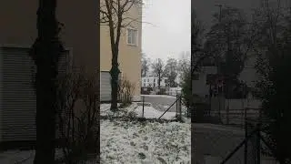 first time snow experience 🌨️  in Germany #nature #viralvideo #viralshorts #german