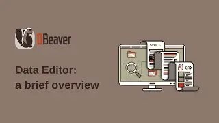DBeaver Data Editor: a brief overview
