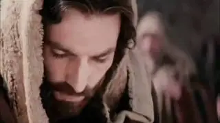 Like A Lion Passion/Narnia