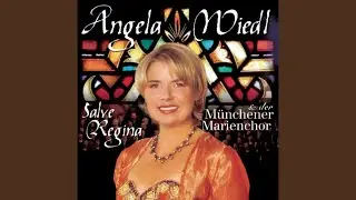 Ave Maria (Original von Schubert)