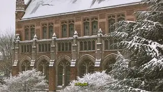 Studying at Cold Days| A Dark Academia Playlist