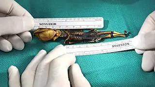 Dr. Steven Greer Sirius Documentary (2013)