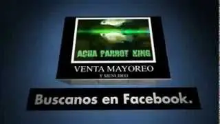 TRAILER ACUA PARROT KING