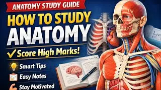 Anatomy Made Easy | Score MAX Marks | Pharm-D Study Tips
