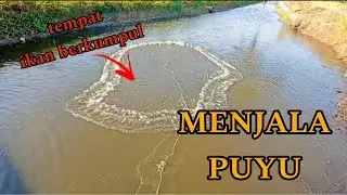 #EP1087 Menjala Ikan Puyu - cari umpan taut