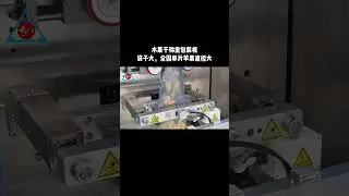 Weighing and packaging machine for freeze-dried apple slice