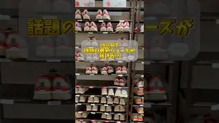 皇居ランが最高すぎた！！【NIKE ヴェイパーフライ】【NIKE アルファフライ】 #nikevaporfly #nikealphafly #ランニングシューズ #皇居 #shorts