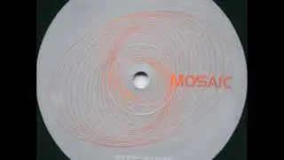 The Wise Caucasian ‎– Remixed & Remastered - Bonus #1