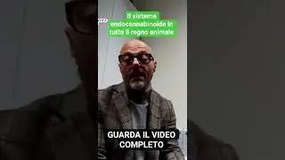 Il sistema endocannabinoide in tutto il regno animale - Ruggero Di Pasquale