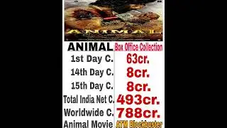 Animal 15th Day Box Office Collection | Animal Worldwide Collection | Animal Collection Updates