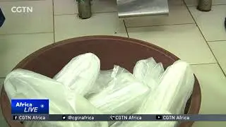 Kenya Plastic Ban: High Court set to rule on whether ban will take effect