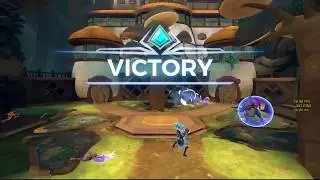 PALADIN OB55 lian top play top damage!