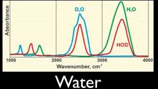 Water Spectrum