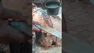 Amazing Fish Cutting Skills In Bangladesh Fish Market | Fish Cutting Skills ​ #fishcutting​