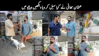 Birds market Burewala latest updates29-08-2023