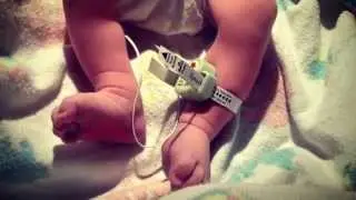 George Harrison Patrick Dollin. Born: Nov 20, 2014