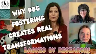 Why Dog Fostering Creates Real Transformations &mdash; Backed by Research