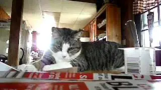 Clipping Coupons with Patty