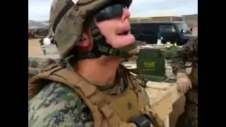 Military Turtle - Public Vines #226