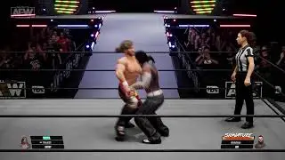 Aew Fight Forever Ranked