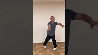 Die Schnelle Peitsche
